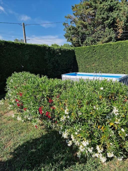 St Remy De Provence, La Maison Du Berger Saint-Andiol 외부 사진