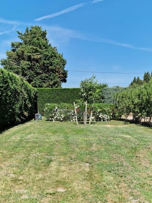 St Remy De Provence, La Maison Du Berger Saint-Andiol 외부 사진