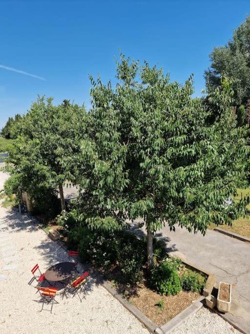 St Remy De Provence, La Maison Du Berger Saint-Andiol 외부 사진